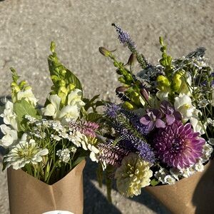 Meet your Posher, Ashlynn